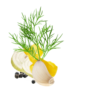 Fisch Inhalt